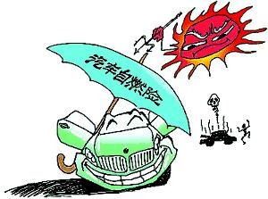 自燃损失险 自燃损失险