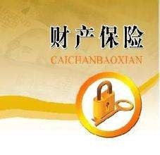 财产保险的保险利益 财产保险的保险利益